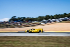 PMNA-Road-Atlanta-2023-504