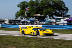 PMNA-Sebring-2024-599