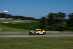 JDC-VIR-2024-13