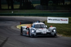 JDC-VIR-2023-13