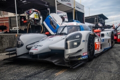 JDC-VIR-2023-45